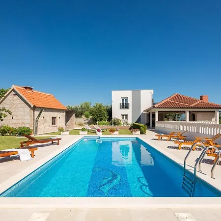 Paradiso فيلة *