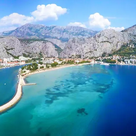 Paradiso فيلة