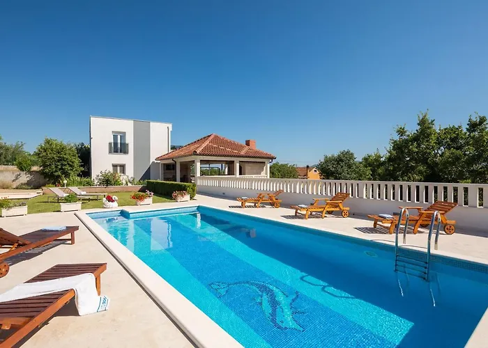 فيلة Paradiso *