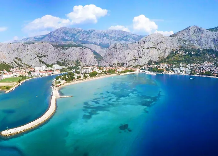 Paradiso فيلة