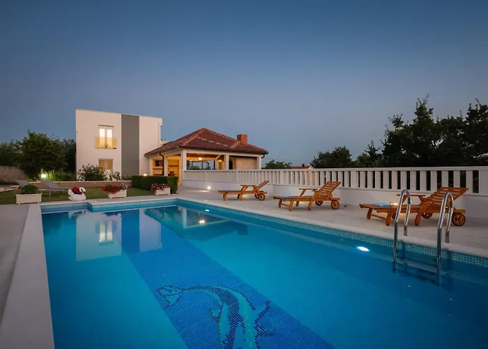 فيلة Paradiso